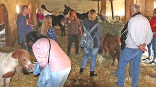 Groß war das Interesse von Jung und Alt aus nah und fern, beim Tag der offenen Tür einen Blick in den „Gnadenhof Animal hope“ in Rosenberg zu werfen. Felicia Ruland gewährte dabei einen Einblick in ihre Arbeit mit den Tieren.