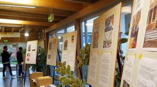 Mit Stellwänden und Plakaten wurden bei den Workshops zum Förderprojekt „Lebendiges Adelsheim“ erste Vorhaben für Adelsheim, Eindrücke und Beispielmaßnahmen aus anderen Regionen vorgestellt.