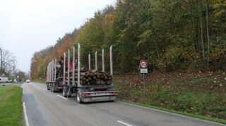 Mit einer Unterschriftenaktion wollen die Mondfelder Bürger der Dringlichkeit einer Sanierung des desolaten Teilstücks der L 2310 zwischen Mondfeld und Grünenwört Nachdruck verleihen.