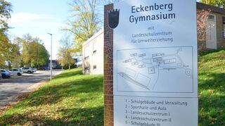 Auf dem großen Campus des Eckenberg-Gymnasiums in Adelsheim ist auch das Internat untergebracht. Derzeit wohnen dort zwischen 20 und 25 Schüler, die sich aus den verschiedensten Gründen dafür entschieden haben.