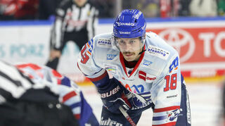 Mannheims Luca Tosta beim Spiel gegen die Kölner Haie.