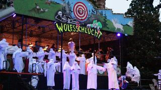 Für die Jubiläumsspielzeit der Schlossfestspiele Zwingenberg finden zwei Castings statt, darunter ein Chorcasting für den Festspielchor der Hausoper „Der Freischütz“.
