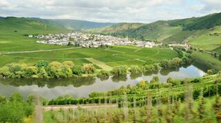 Überall Reben: Die Moselregion verbinden viele Menschen zurecht in erster Linie mit Weinanbau.