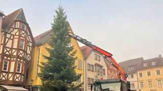 In den nächsten Tagen wird der Weihnachtsbaum noch geschmückt.