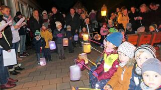 Der Martinsumzug des Kindergartens Nassig machte allen viel Spaß. Das Bild steht stellvertretend für die Umzüge in den Wertheimer Ortsteilen.