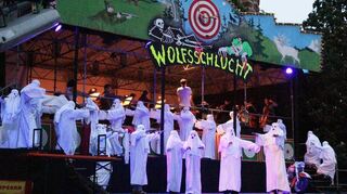 Für die Jubiläumsspielzeit der Schlossfestspiele in Zwingenberg finden zwei Castings statt, darunter ein Chorcasting für den Festspielchor der Hausoper „Der Freischütz“ von Carl Maria von Weber.