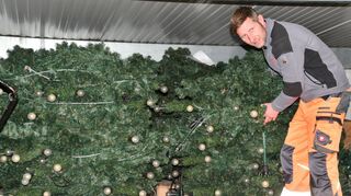 Raus aus dem Speicher. Bauhofleiter Nico Beyer und seine Mannen werden in der nächsten Woche die Weihnachtsbeleuchtung in Hardheims Straßen aufhängen.