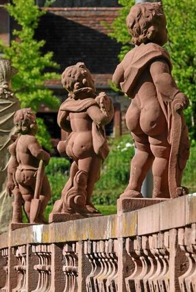 Auge fürs Detail: Den vierten Platz beim Fotowettbewerb belegt Vera Derr aus Grünsfeld.