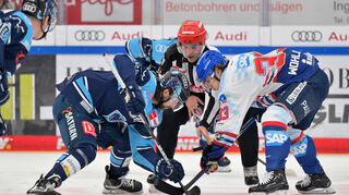 Bully zwischen Wojciech Stachowiak (ERC Ingolstadt) und Tim Wohlgemuth (Adler Mannheim) beim Auswärtsspiel.