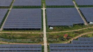 Photovoltaikmodule, die Strom erzeugen, und darunter Platz für Gewächshäuser bieten, sind auf diesem Beispielbild zu sehen.