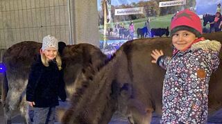 Genügsame Esel: Die Tiere von Freizeit- und Ferienreiterhof Odenwald ließen sich von Kindern gern streicheln.