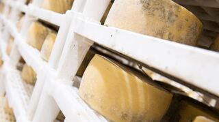 Käse ist ein Naturprodukt, deshalb ist es schwer, immer den gleichen Geschmack zu erzeugen.