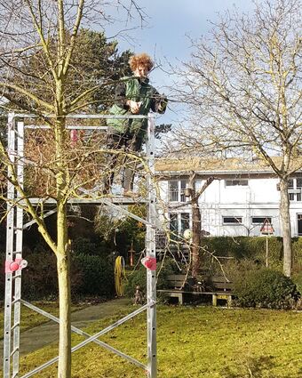 Die Fachleute des Garten- und Landschaftsbaus wissen, welche Gehölze besondere Behandlung brauchen, wie man sie richtig schneidet, aber auch, wie man sie verjüngt und zu frischem Austrieb anregt.