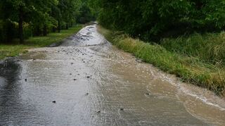 Klimaveränderungen wie Hitze oder Starkregen machen auch vor dem Main-Tauber-Kreis nicht halt. Mit Hilfe eines Klimaschutzmanagements will die Stadt Grünsfeld eine Konzeption für die Kommune angehen, Ideen bündeln, Projekte umsetzen und den Bürgern Hilfestellungen geben.