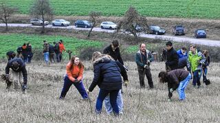 <p>In Zusammenarbeit mit dem Forstamt und unterstützt von Tauber-Solar pflanzten Schüler der Kaufmännischen Schule Tauberbischofsheim insgesamt 1000 Bäume.</p>
