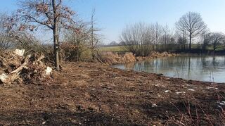 Pflegemaßnahme am Adelsheimer Seelein (Bild): Was zunächst als starker Eingriff erscheint, kommt gefährdeten Tierarten zugute.