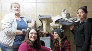 Katrin Rohrbach, Melanie Matzker, Jennifer Nagels und Julia Spyth-Kalicka (von links) kümmern sich liebevoll um Vierbeiner wie Kater Lux und Katze Bine. Die beiden Freigänger sind gerade in ihr neues Zuhause gezogen.