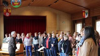 Rund 80 Sängerinnen und Sänger nahmen am Stimmbildungsseminar des Sängerbunds Badisch Franken in Dittwar teil.