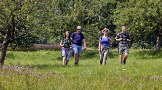 Der Panoramaweg Taubertal steht im Finale des bundesweiten Wettbewerbs „Deutschlands schönster Wanderweg 2023“. Wanderbegeisterte sind zur Teilnahme an der Abstimmung aufgerufen.