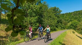 Der Radweg „Liebliches Taubertal – Der Klassiker“ hat die Leser der Zeitschrift „Bike & Travel“ überzeugt: Er belegt in der Kategorie „Die beliebtesten Flussrouten“ den zweiten Platz.