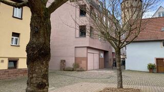 Der Boden in der Umgebung von Straßenbäumen ist oft versiegelt. Damit sie bei großer Hitze in Städten überleben können, ist deshalb eine besondere Pflege nötig.