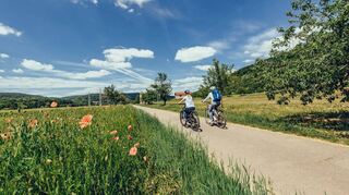 Der Tourismus im Odenwald erholt sich nach den harten Pandemiezeiten wieder.