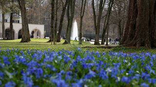 Zeit für einen Besuch im Kurpark. Alle Attraktionen sind wieder in Betrieb.