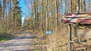Der Eingang zum Gewann Buchrain. Hier wurde vor knapp 40 Jahren der bis heute nicht aufgeklärte Mordfall begangen.