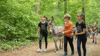 Das Schullandheim auf dem Bad Mergentheimer Katzenberg erfreut sich großer Nachfrage.