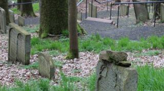Der älteste Grabstein auf dem jüdischen Friedhof in Wertheim stammt aus dem Jahr 1406.
