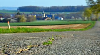 Eine bittere „Sparquelle“: der Unterhalt und die Sanierung des Wegesystems rund um Niederstetten. Mit Zähneknirschen drückt der Gemeinderat hier das Budget, doch die Finanzlücke im Haushaltplan würde ohne den Rotstift zu groß.