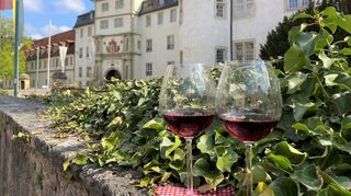 Besonderer Genuss vor einer historischen Kulisse: an diesem Samstag startet die Stadt Bad Mergentheim wieder den wöchentlichen Weinausschank auf dem Deutschordenplatz.