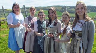 Gekrönte Weinhoheiten stiegen hinauf auf den Mandelberg und stießen dort am Weinwanderweg auf das 49. Dertinger Weinfest an (von links): Marie aus Külsheim, Anne aus Röttingen, Katharina aus Dertingen, Elena aus Astheim, Selina aus Homburg und Teresa aus Karlburg.