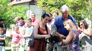 Das Burgfest in Krautheim findet am 13. und 14. Mai statt.