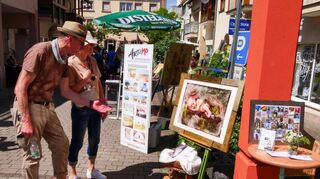 Am Wochenende findet wieder der Maimarkt unter dem Motto „Kunst & Kultur“ in Lauda-Königshofen statt. Die Veranstalter rechnen wieder mit einer ebenso guten Besucherzahl wie 2022.