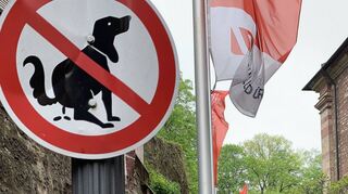 Immer weniger Hundehalter halten sich an das „Kack-Verbot“ ihrer Vierbeiner im Bereich des Wallfahrtsplatzes in Walldürn. Das bedauern Pater Josef Bregula und Mesner Markus Weigand, die mit der Beseitigung immer mehr Arbeit haben.