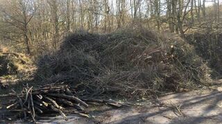 Entsorgung von Obstbaumschnittgut: Mehr als 2000 Kubikmeter Obstbaumschnittgut wurden in diesem Jahr an den Kompostplätzen des Main-Tauber-Kreises von den Bürgerinnen und Bürgern abgegeben