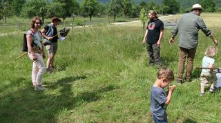 Bei zahlreichen Führungen gab es beim Biodiversitätserlebnistag viele Informationen über die Natur in den Erlichsgärten. Dabei durften die Teilnehmenden – unter anderem bei der Käferführung – selbst aktiv werden.