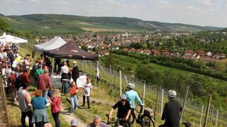 Bei „Wein am Berg“ konnten die zahlreichen Besucher nicht nur edle Tropfen und Leckereien, sondern auch die Natur am Altenberg zwischen Lauda und Oberlauda genießen.