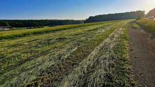 Auf diesem Areal, eine Wiese, soll in Harthausen der Solarpark „Bittenlehe“ mit einer Leistung von 5,07 Megawatt Peak entstehen.