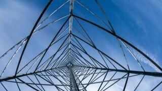 Der beantragte Funkturm bei Neuses ist laut Landratsamt „nahezu entscheidungsreif“.