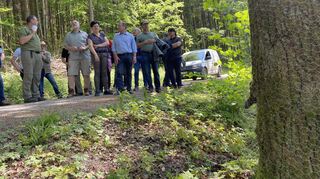 Die Gemeinderäte begutachteten einen mit Maschendraht ummantelten Baum am Hollerbach, in der Nähe des Hollersees. Mit dieser Maßnahme will die Stadt insgesamt 120 Bäume vor einem Verbiss durch den am Hollersee lebenden Biber schützen.