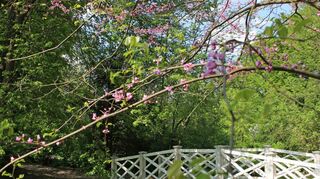 Kinder und Erwachsene können im Schlosspark brummenden Insekten oder dem Wind in den Baumwipfeln lauschen – und Wissenswertes über Botanik und Geschichte erfahren.