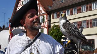 Gerfalke Elli machte großen Eindruck. Er und sein Falkner ließen auch Selfies zu.