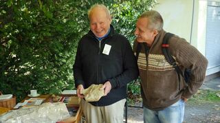 Interessante Fossilien gibt es beim Tag der Artenvielfalt am 17./18. Juni in Bad Mergentheim zu sehen.
