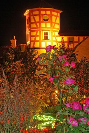 Stimmungsvolles Ambiente prägt das Rosenblüten- und Lichterfest am Samstag, 17. Juni, in Creglingen.