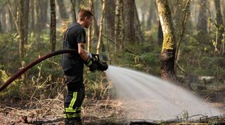 Auf dem Edelberg bei Tauberbischofsheim sind derzeit zahlreiche Feuerwehrkräfte mit der Löschung eines Waldbrandes beschäftigt (Beispielbild).