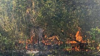 Die Flammen schlugen den Einsatzkräften entgegen, der Schaden am Wald hielt sich allerdings in Grenzen.