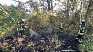 Rund 90 Einsatzkräfte aus verschiedenen Abteilungen der Freiwilligen Feuerwehr aus dem gesamten Kreisgebiet waren am späten Sonntagnachmittag oberhalb der Kreisstadt im Einsatz.