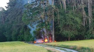 Der mutmaßliche Feuerteufel dürfte in Tauberbischofsheim wieder zugeschlagen haben. Diesmal wurde an mehreren Stellen im Gewann „Hamberg“ Feuer gelegt (aktuelles Bild). Zuvor hatte es mehrfach auf dem Edelberg gebrannt - zuletzt am Dienstag an mehreren Stellen.